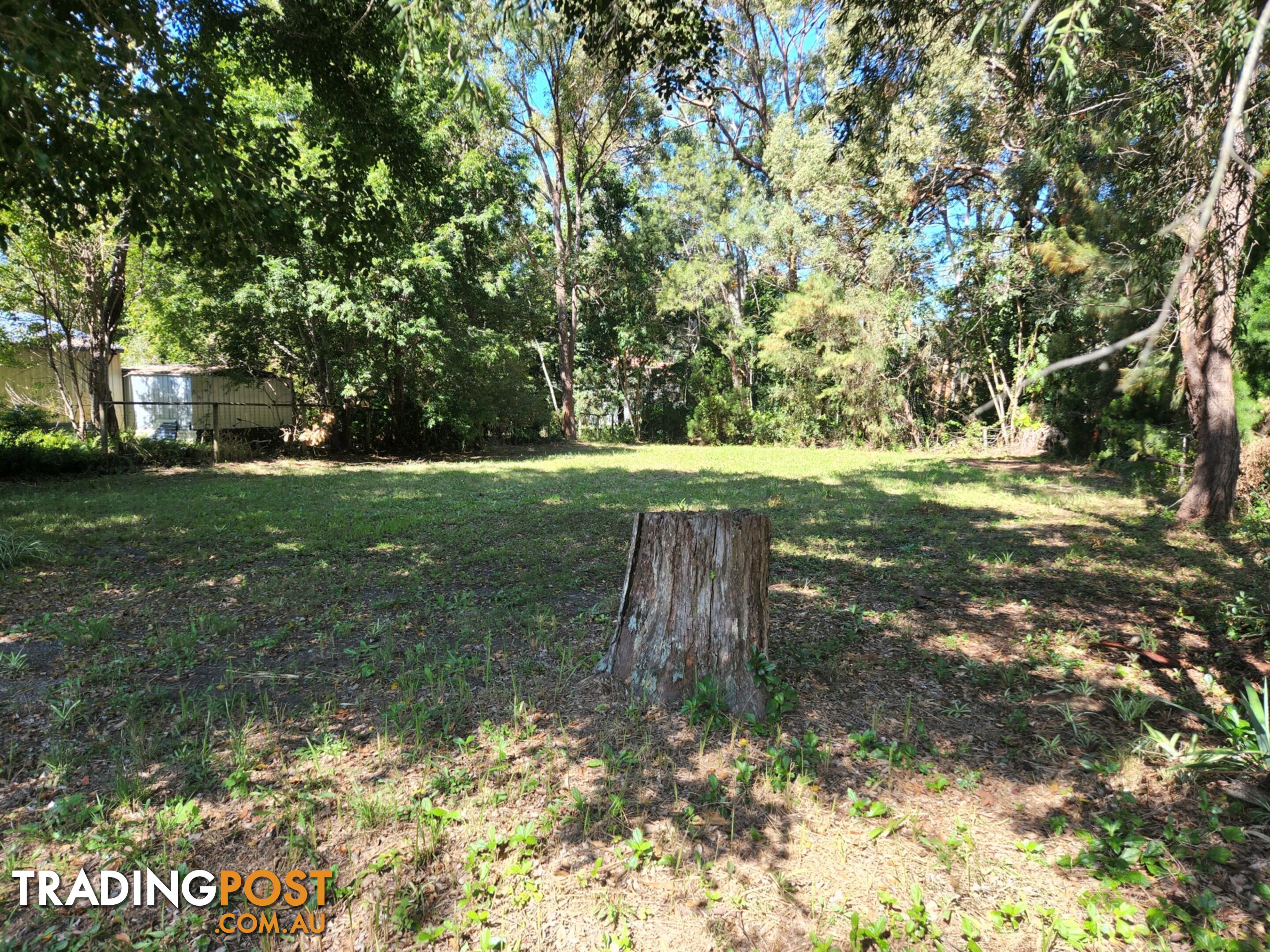 22 Mango Crescent MACLEAY ISLAND QLD 4184