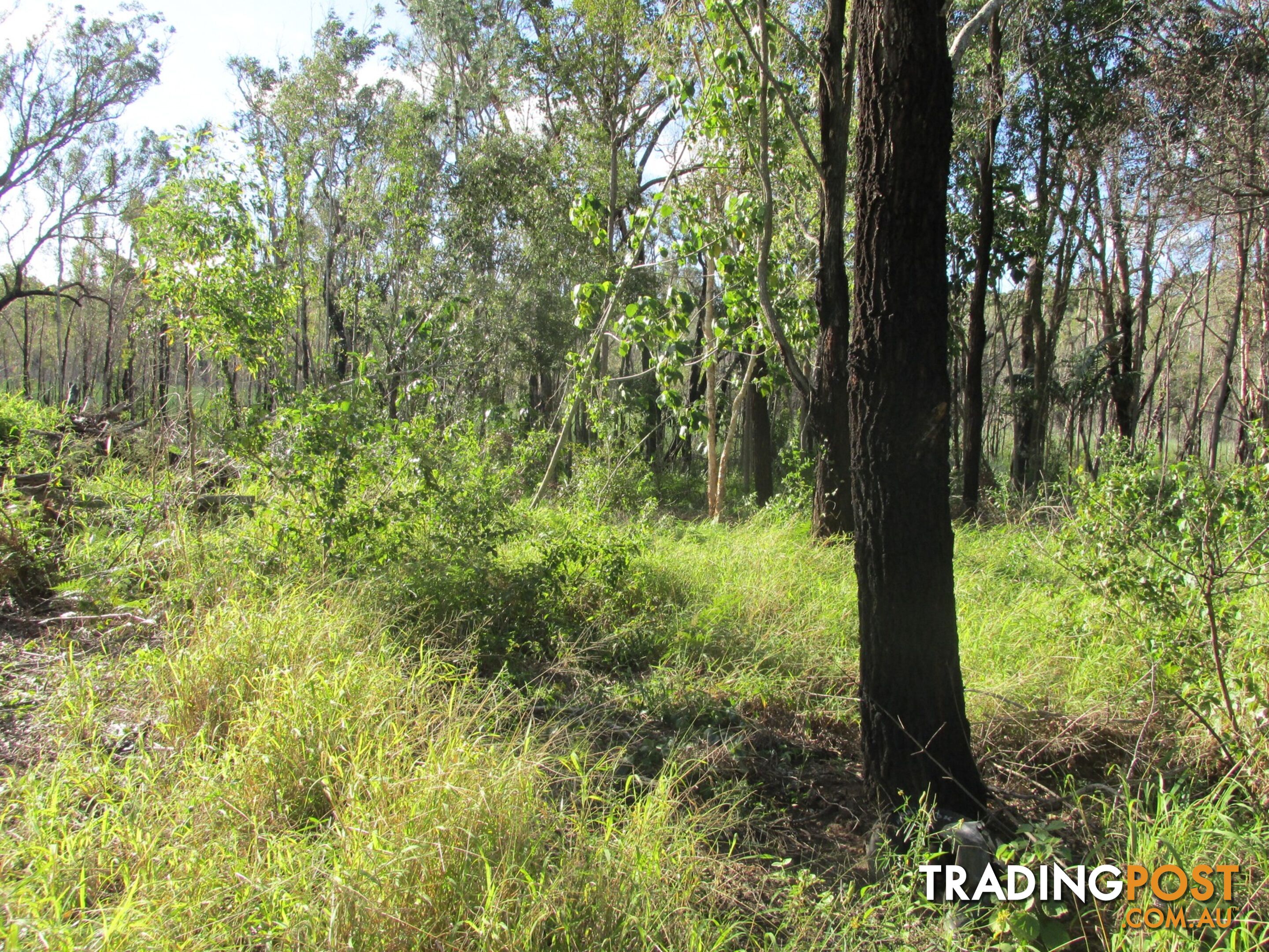 26 Lemontree Drive MACLEAY ISLAND QLD 4184