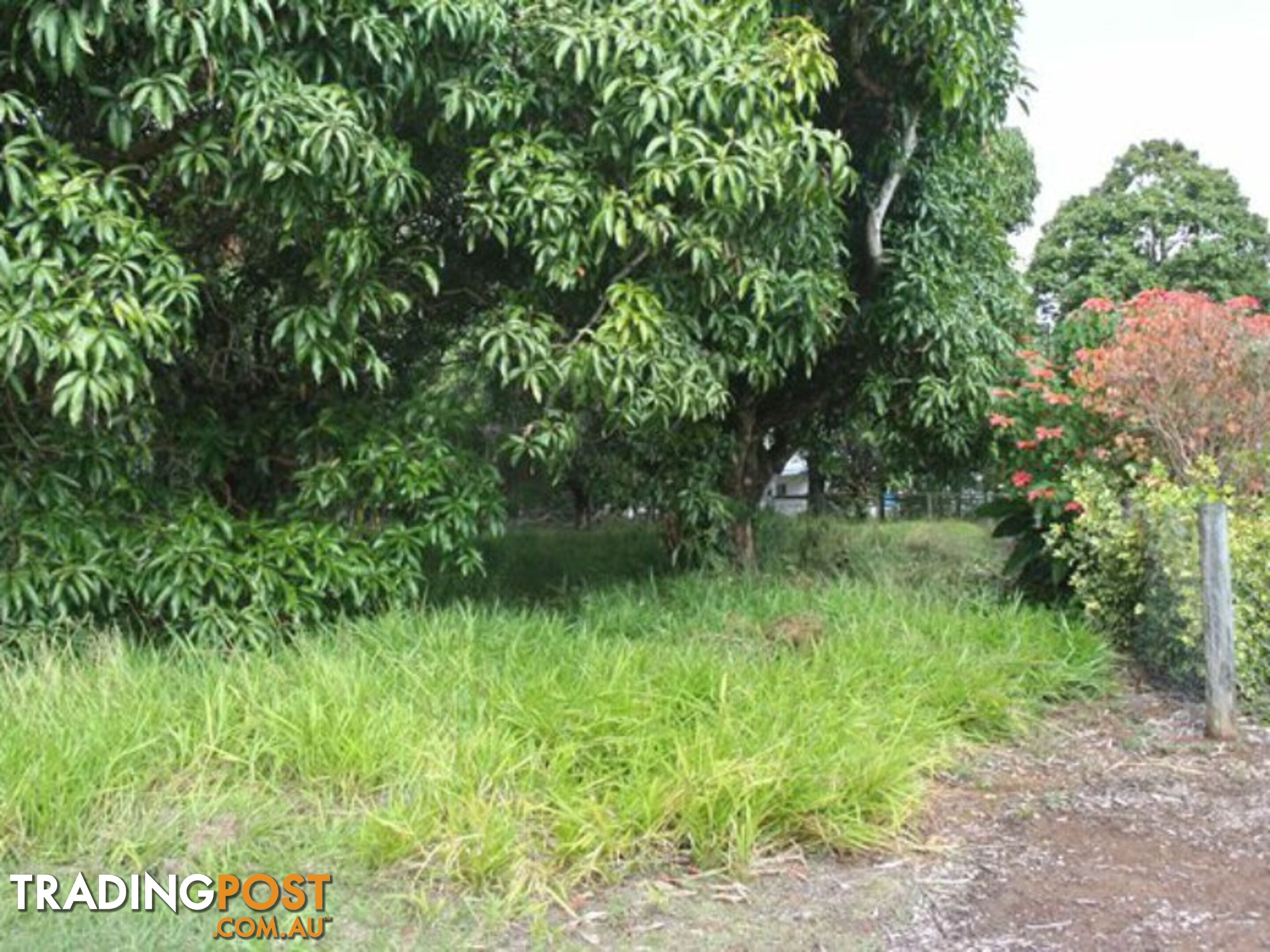 3 Quail Place MACLEAY ISLAND QLD 4184