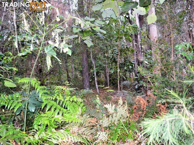 38 Alexander Street MACLEAY ISLAND QLD 4184