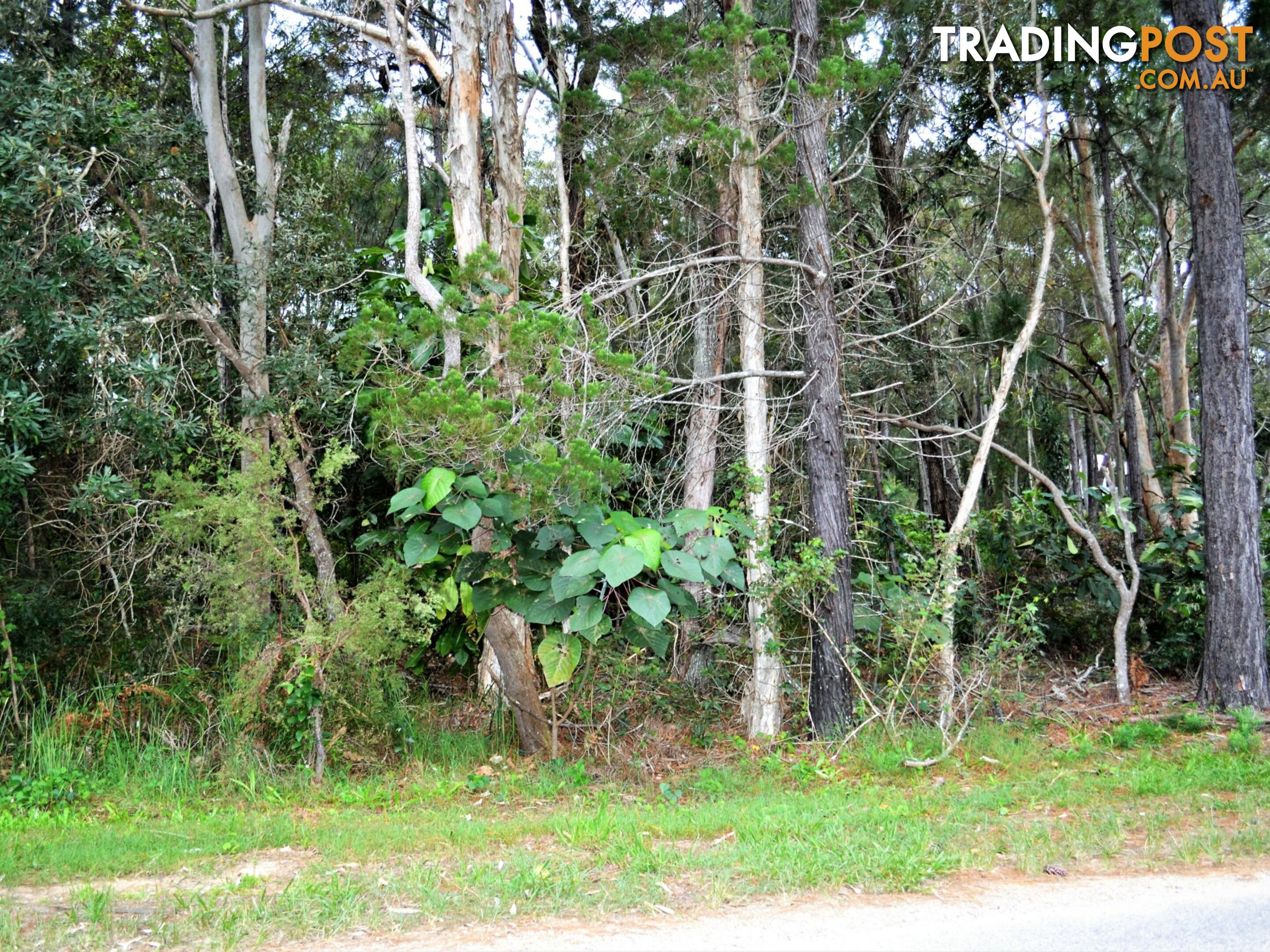 38 Alexander Street MACLEAY ISLAND QLD 4184