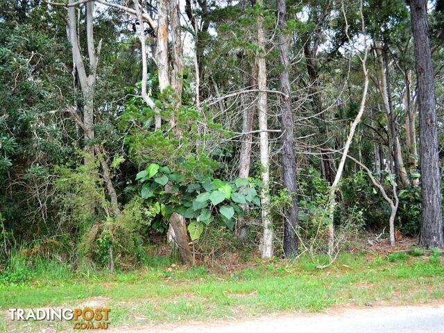 38 Alexander Street MACLEAY ISLAND QLD 4184