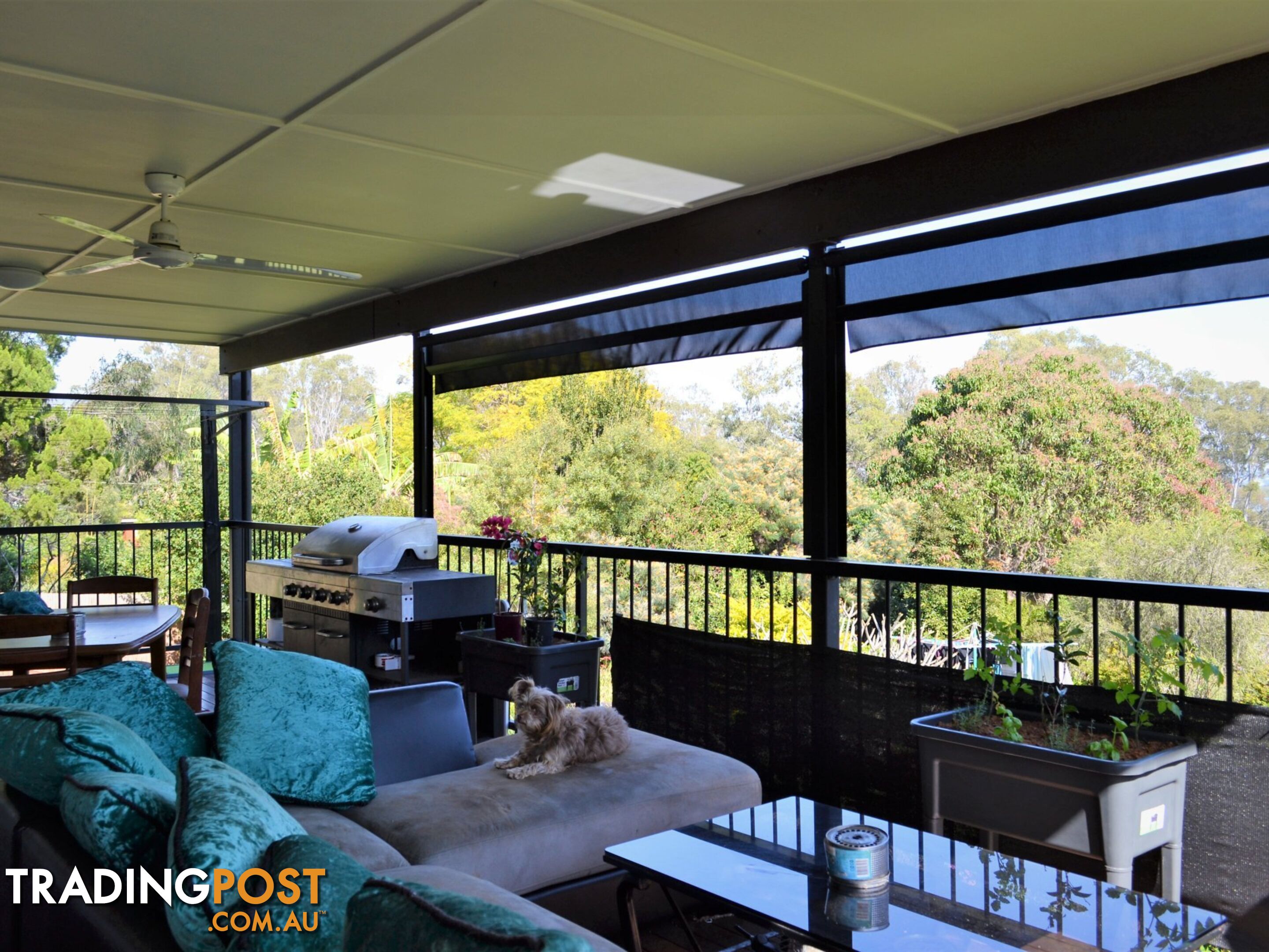 20 Eastbourne Terrace MACLEAY ISLAND QLD 4184