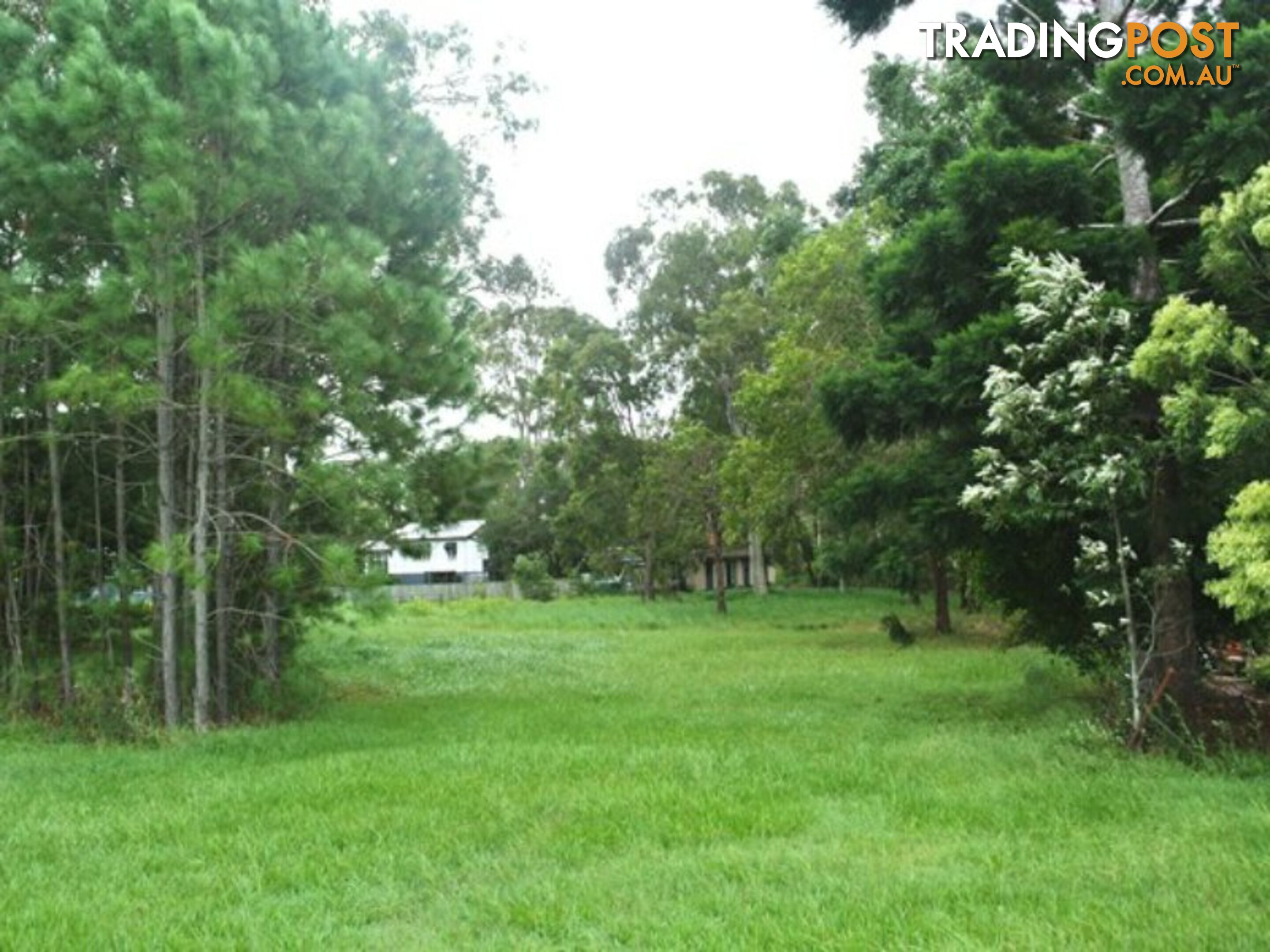 23 Betty Street MACLEAY ISLAND QLD 4184