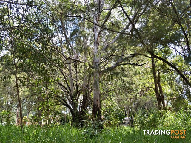 24 Allambie Street MACLEAY ISLAND QLD 4184