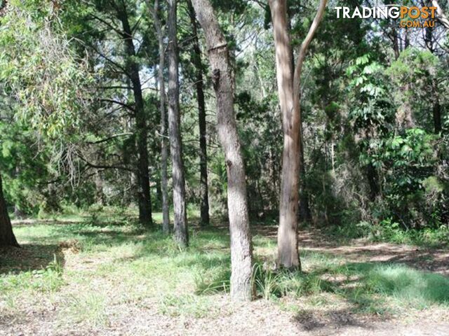 6 Ibis Street MACLEAY ISLAND QLD 4184