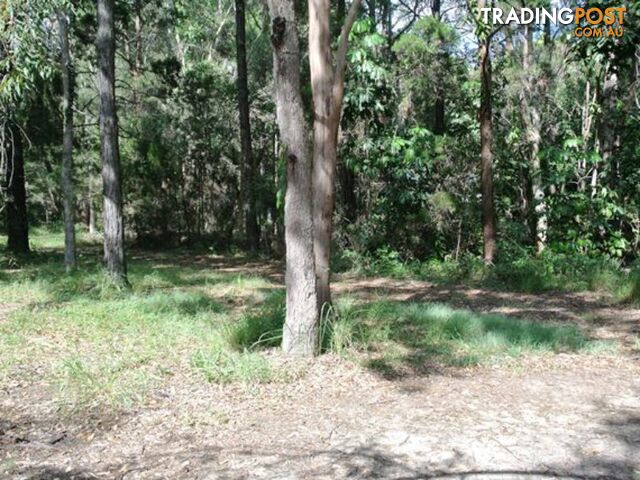 6 Ibis Street MACLEAY ISLAND QLD 4184