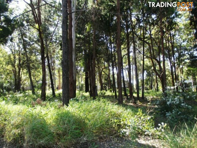 10 Piccaninny Street MACLEAY ISLAND QLD 4184