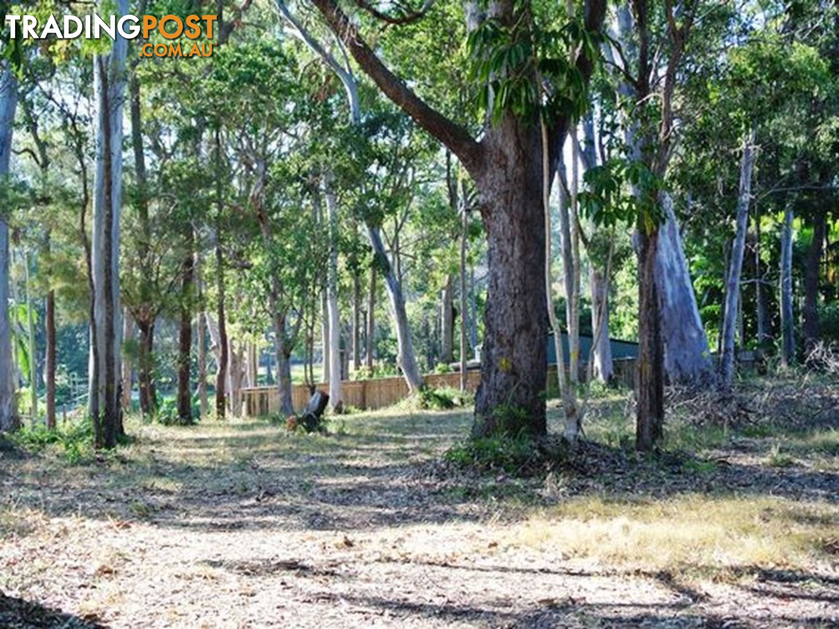 16 Rio Street MACLEAY ISLAND QLD 4184