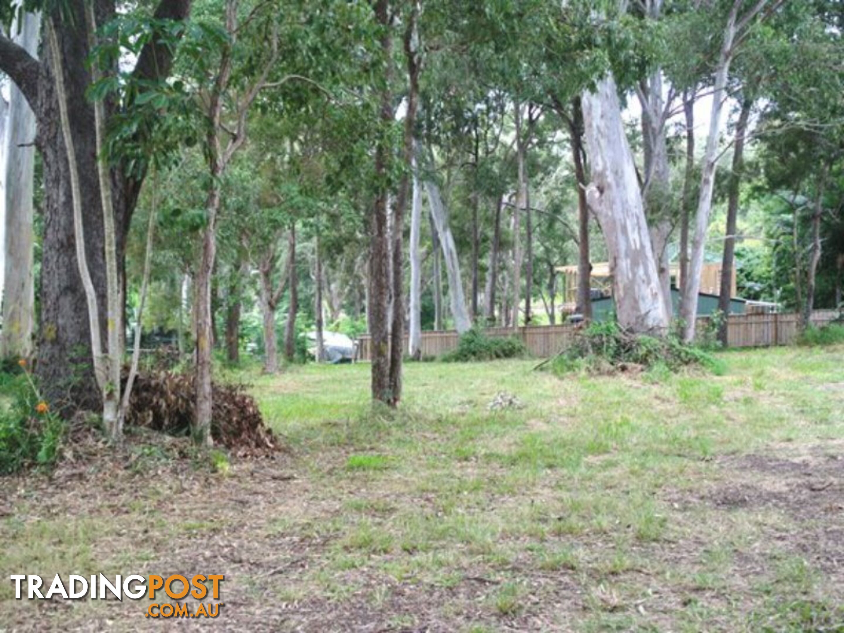 16 Rio Street MACLEAY ISLAND QLD 4184