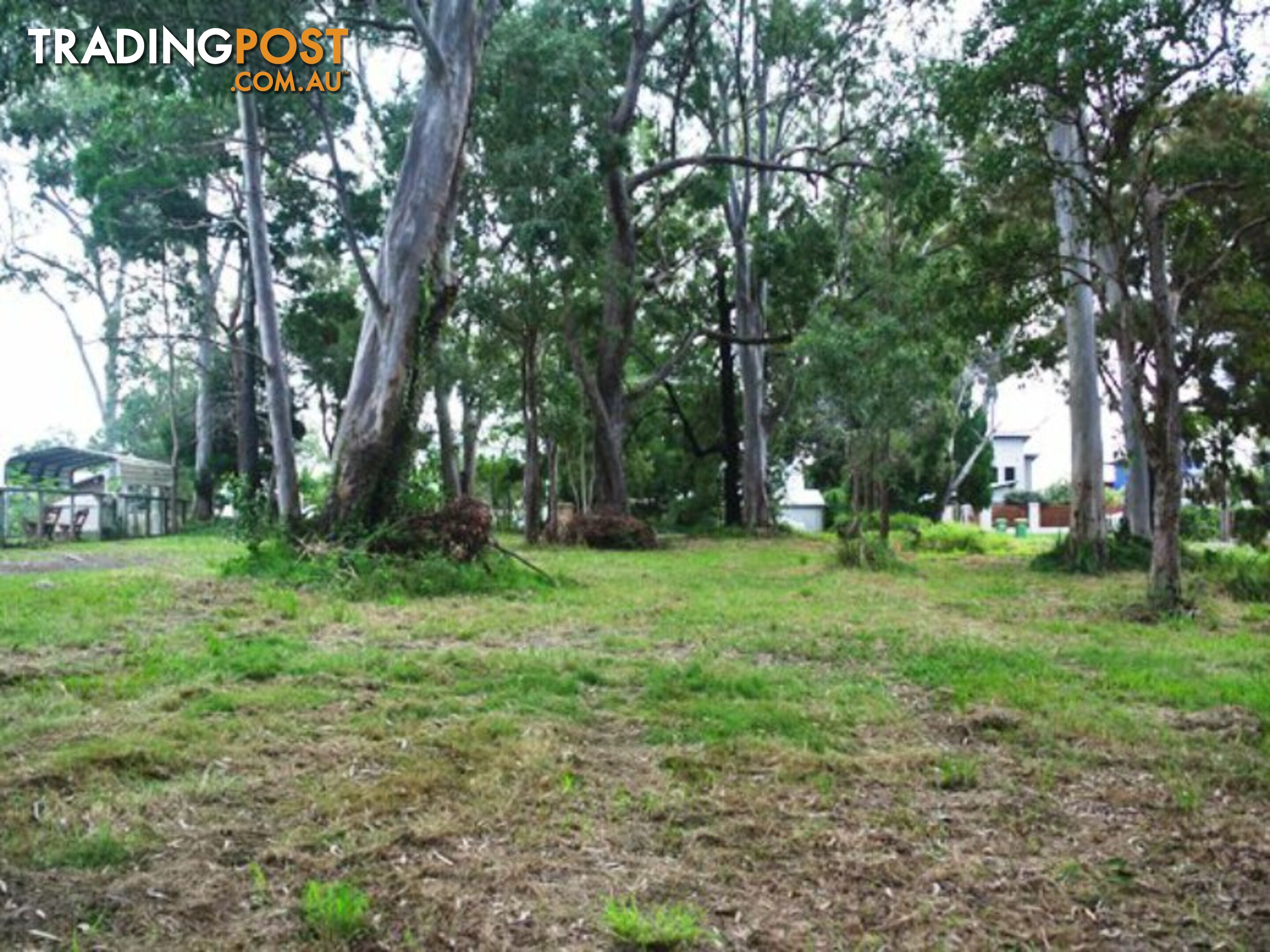 16 Rio Street MACLEAY ISLAND QLD 4184