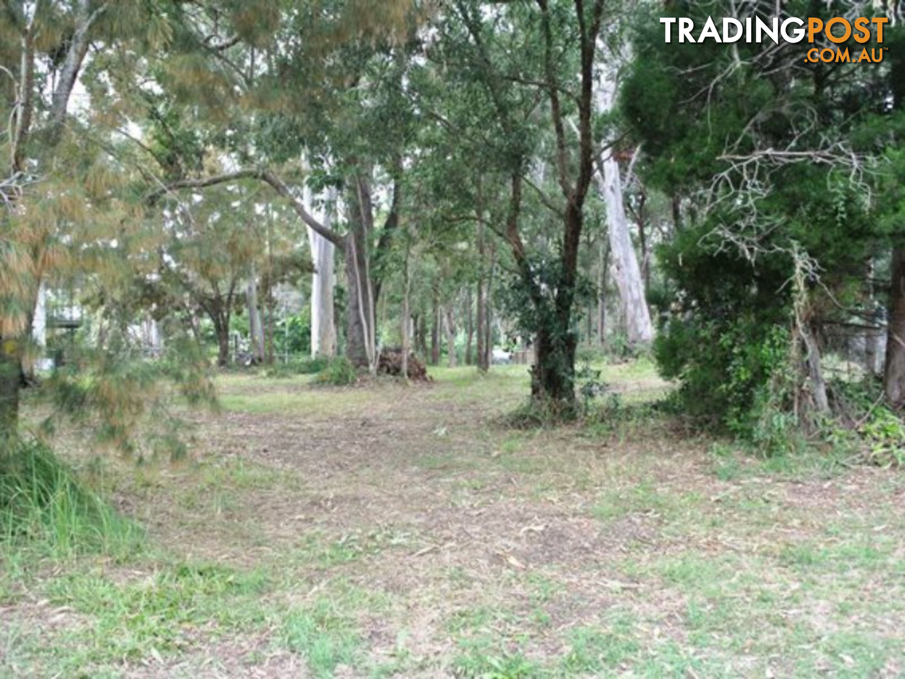 16 Rio Street MACLEAY ISLAND QLD 4184