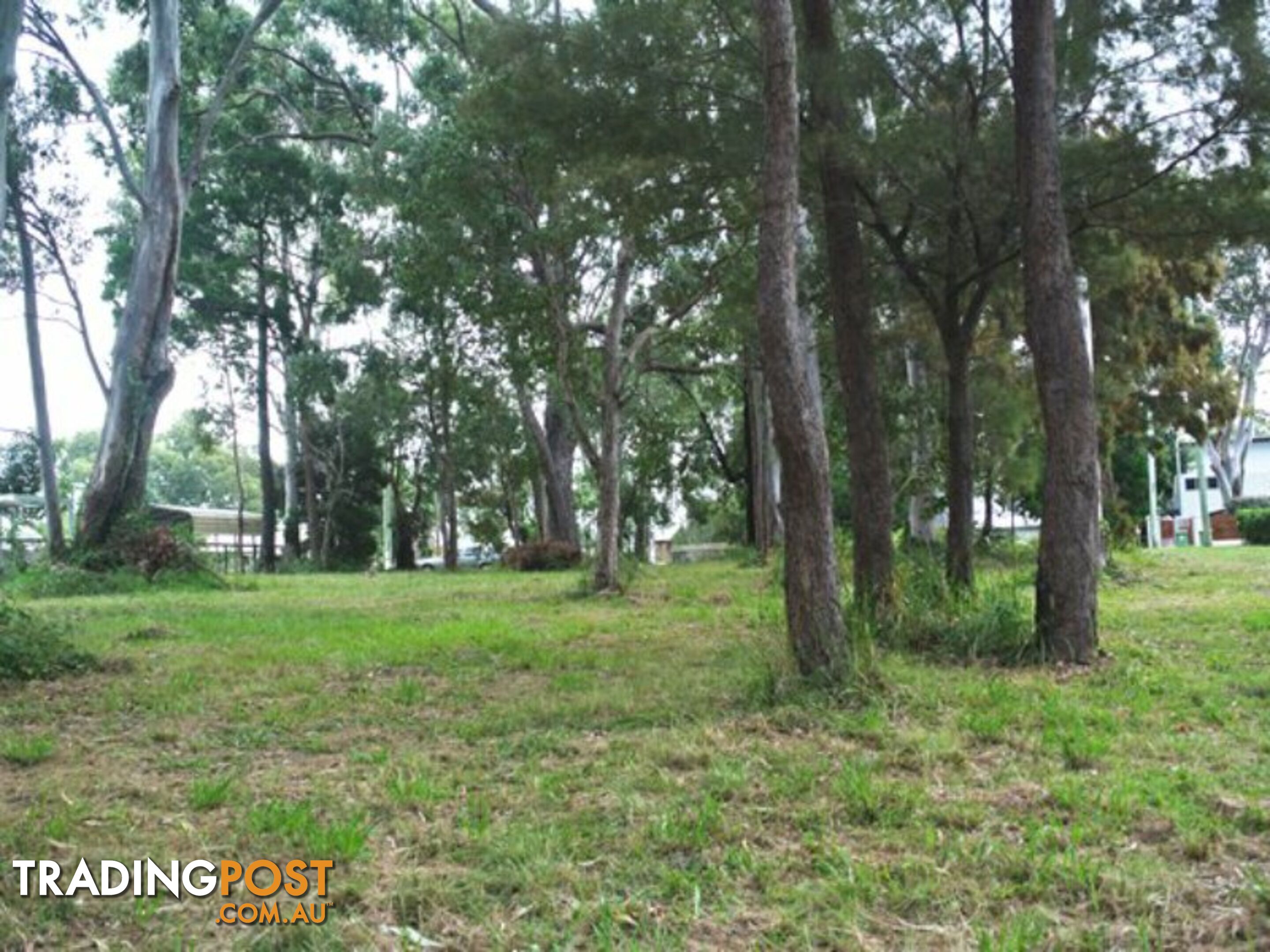 16 Rio Street MACLEAY ISLAND QLD 4184