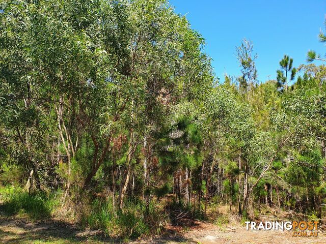 19 Piccaninny Street MACLEAY ISLAND QLD 4184