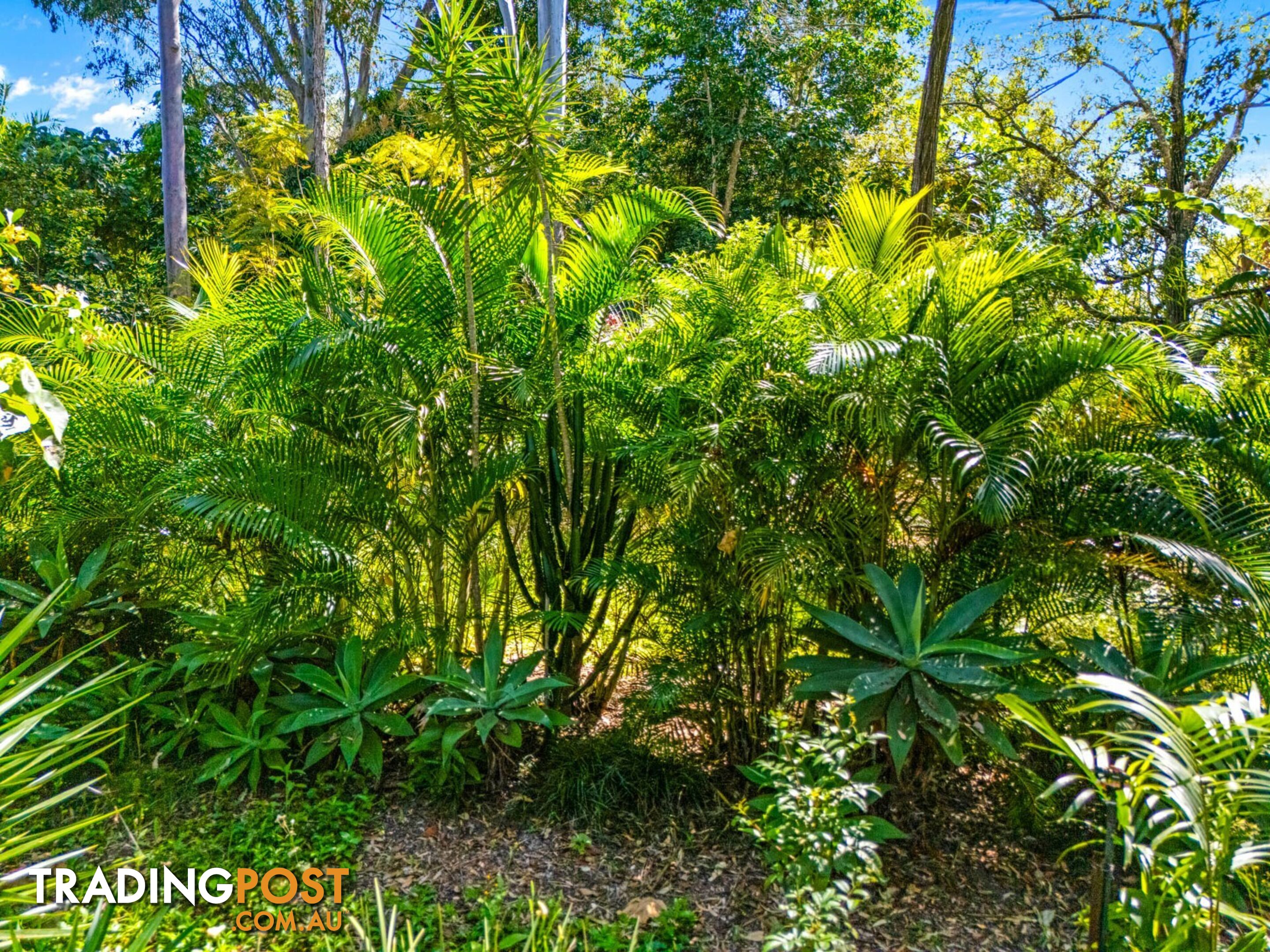 73 Eastbourne Terrace MACLEAY ISLAND QLD 4184