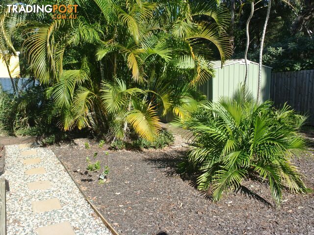 23 Devaney Street MACLEAY ISLAND QLD 4184