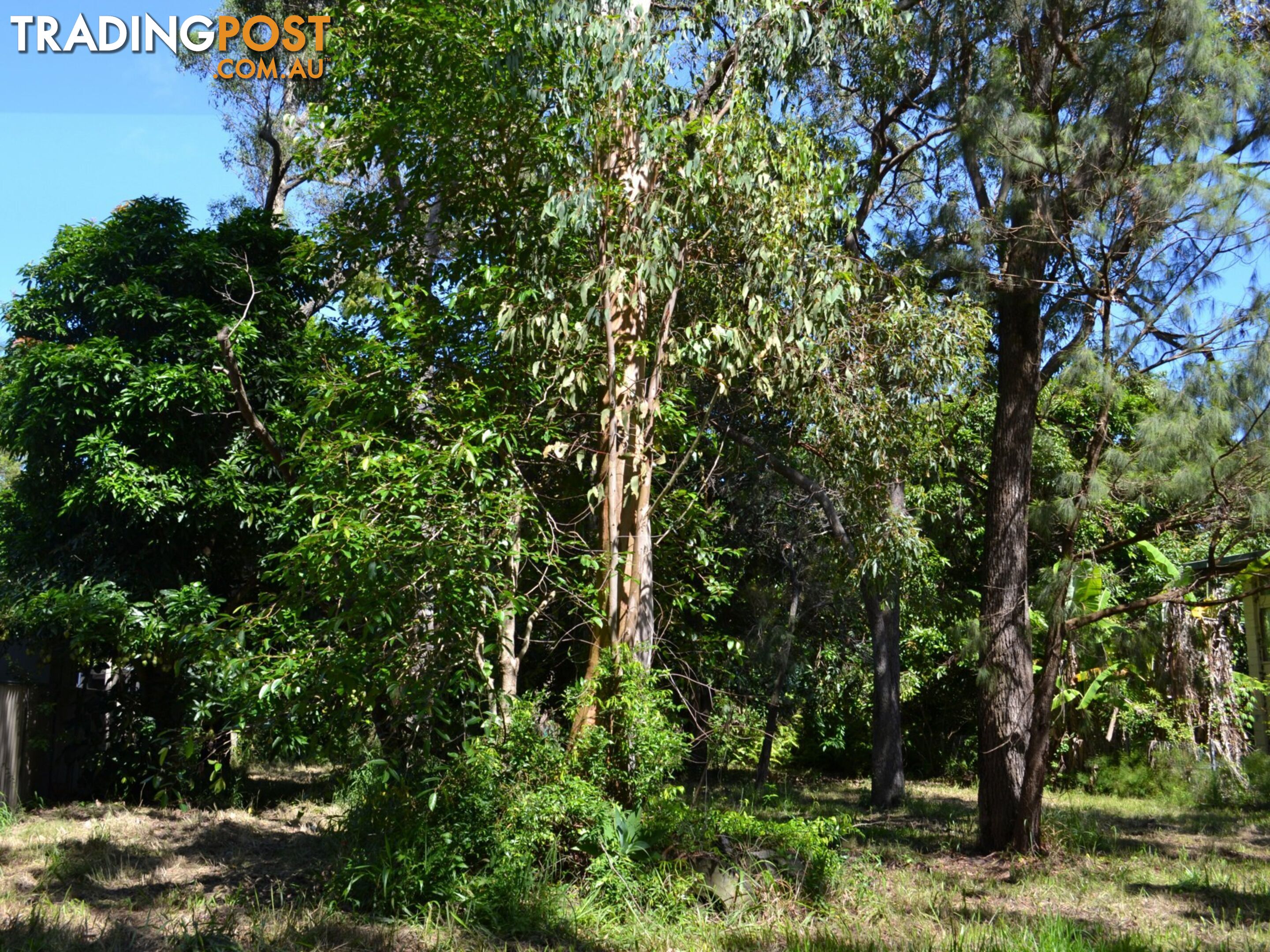 33 Cooee Crescent MACLEAY ISLAND QLD 4184