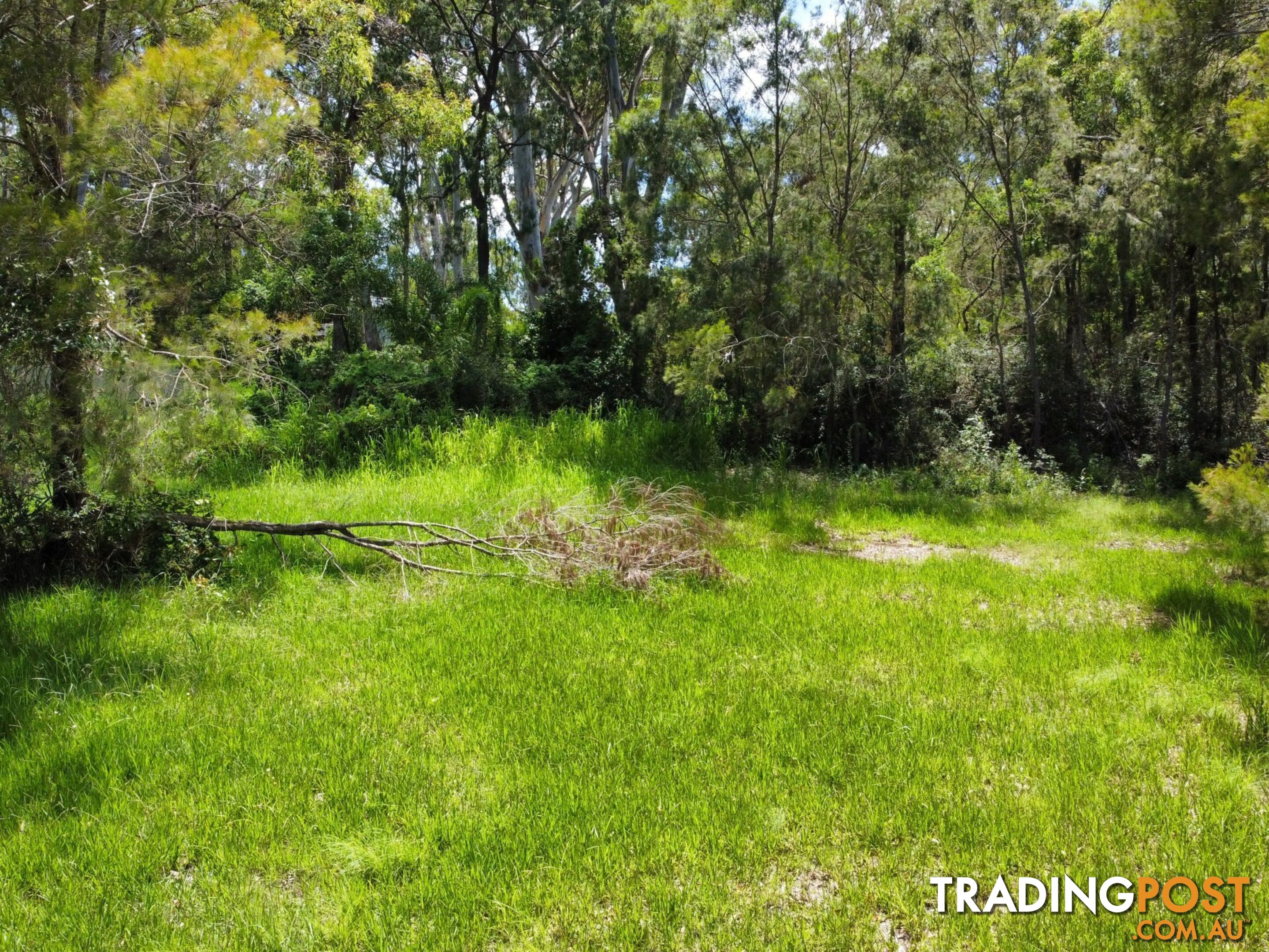 6 Cliff Terrace MACLEAY ISLAND QLD 4184