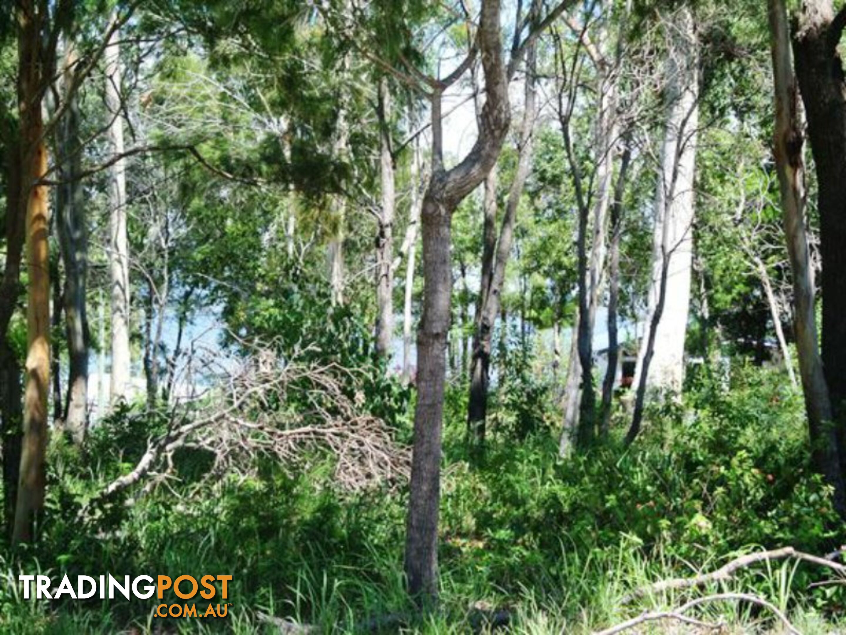 143 Kate Street MACLEAY ISLAND QLD 4184