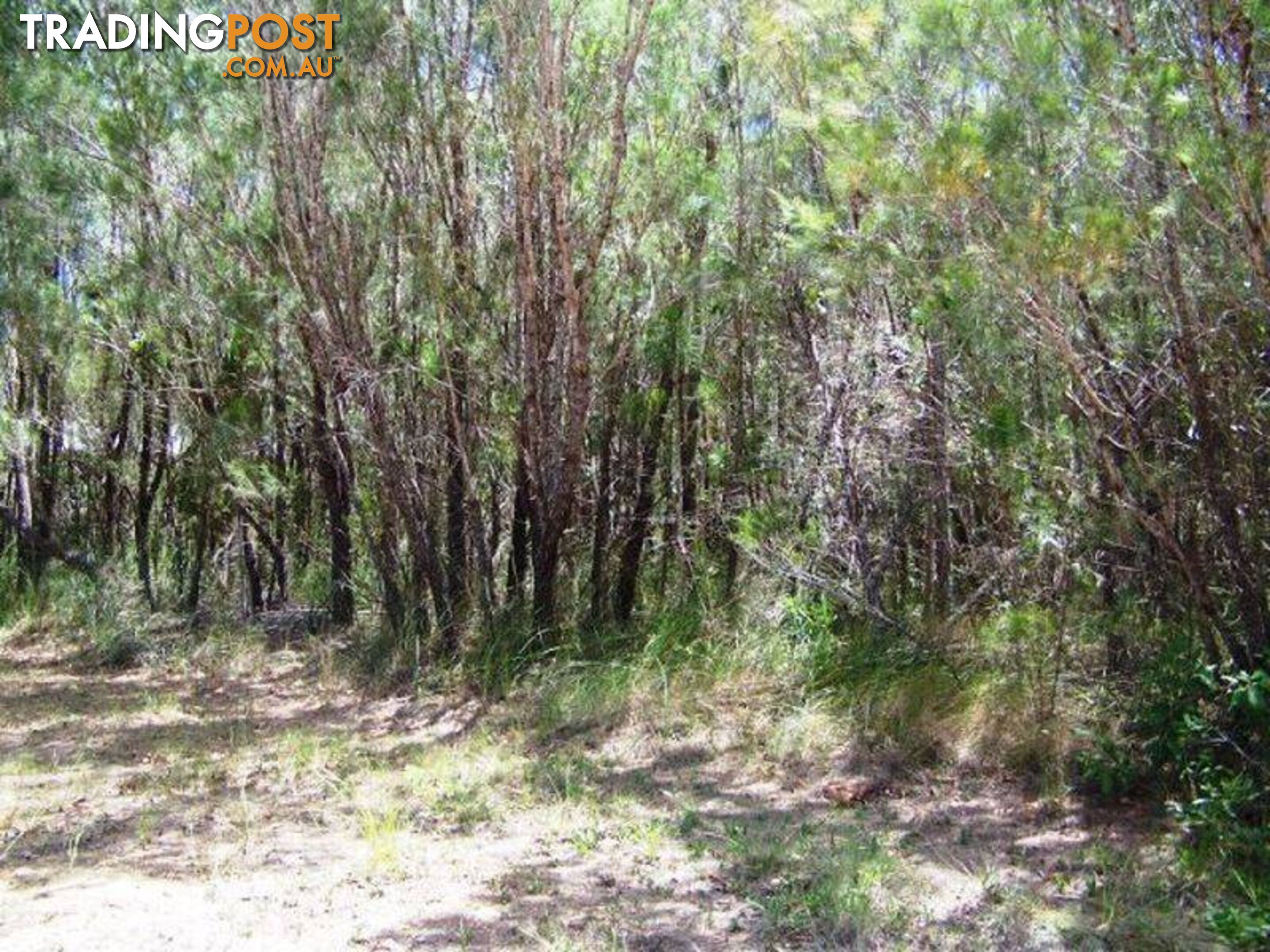 Lot 17 Belar Street LAMB ISLAND QLD 4184