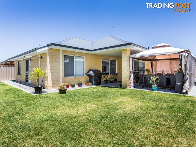 23 Icelandic Meander BALDIVIS WA 6171