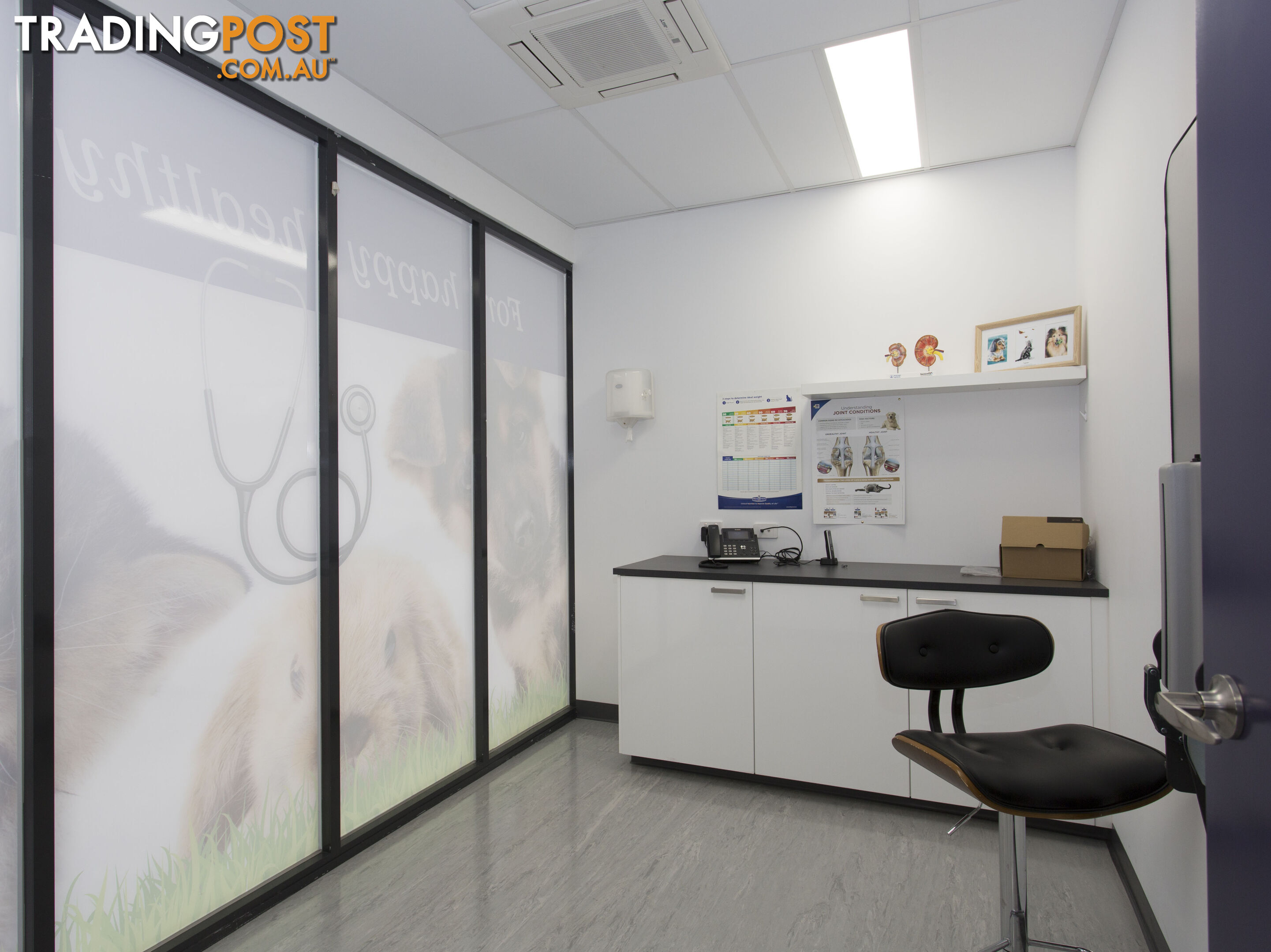 The Avenue Vet 2-4 Maksi Way CRANBOURNE NORTH VIC 3977