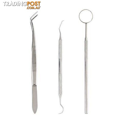 Professional Stainless Steel Dental Instrument 3-piece Set- Silver - MRT-KS05580