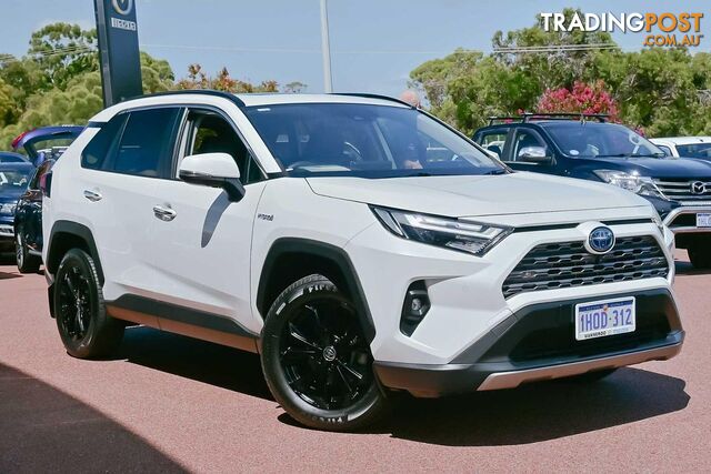 2022 TOYOTA RAV4 CRUISER AXAH54R 