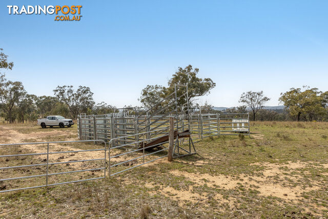 925 Mountain Maid Road GREYMARE QLD 4370