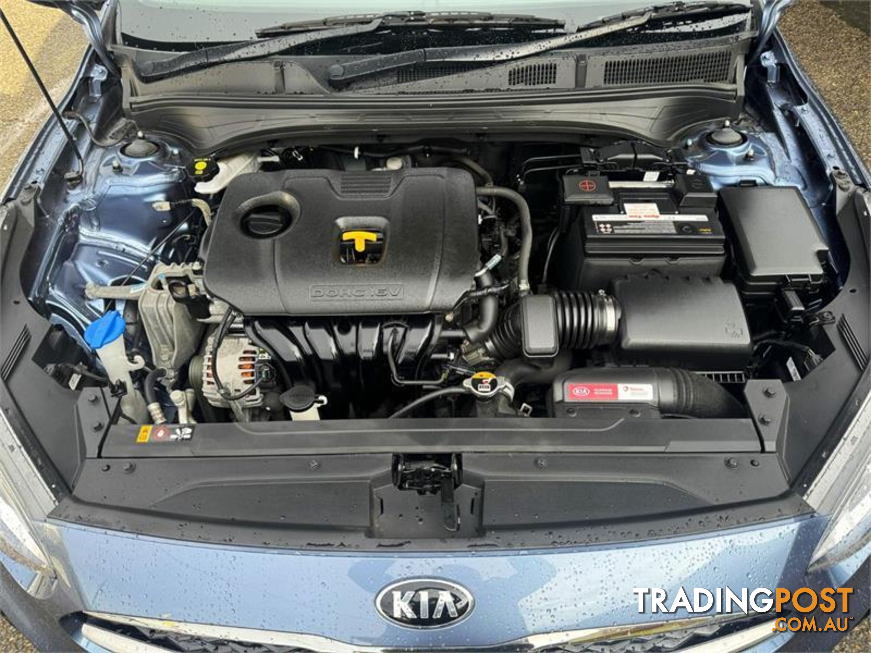 2019 KIA CERATO S BD MY19 SEDAN