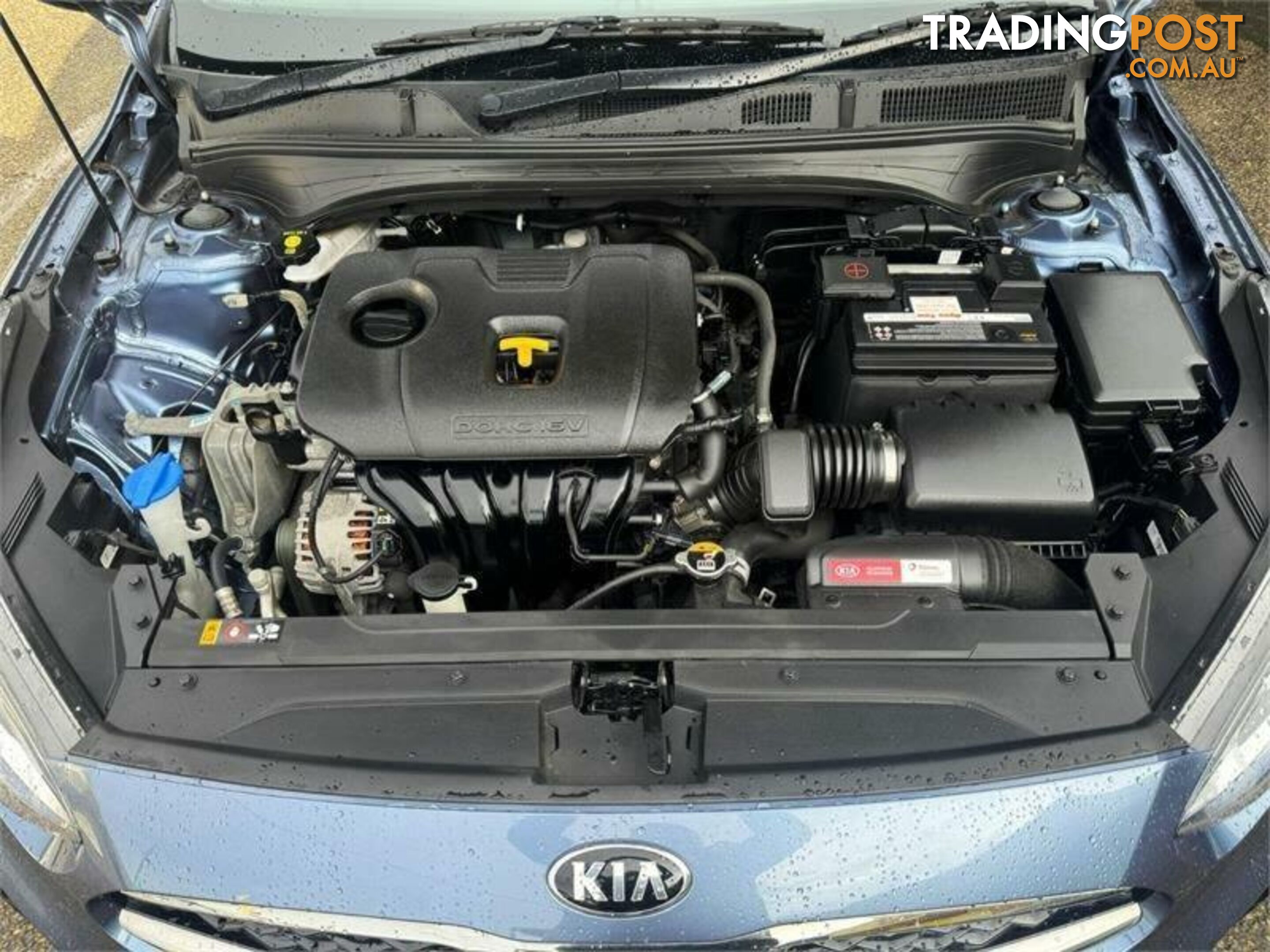 2019 KIA CERATO S BD MY19 SEDAN, 4 DOORS, 5 SEATS