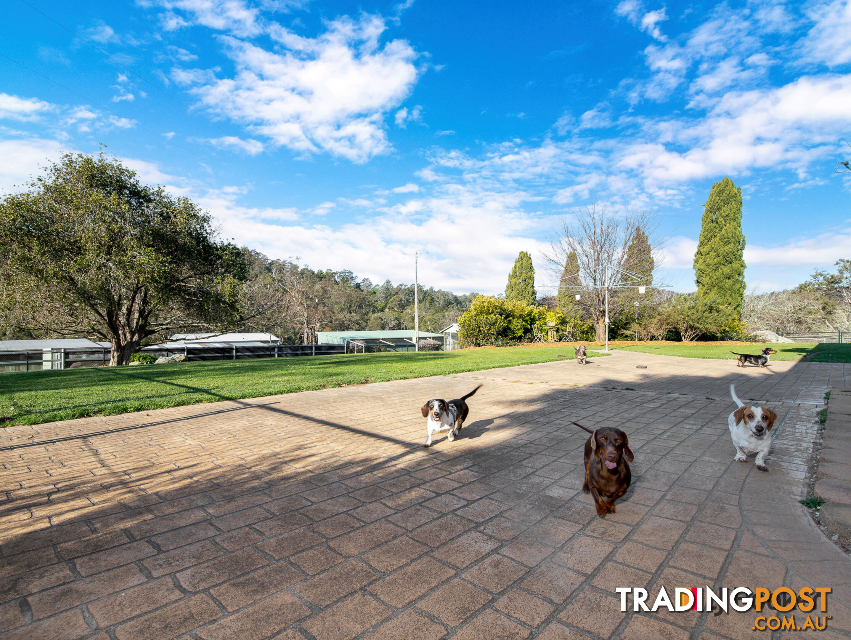 470 Larrys Mountain Road MOGENDOURA NSW 2537