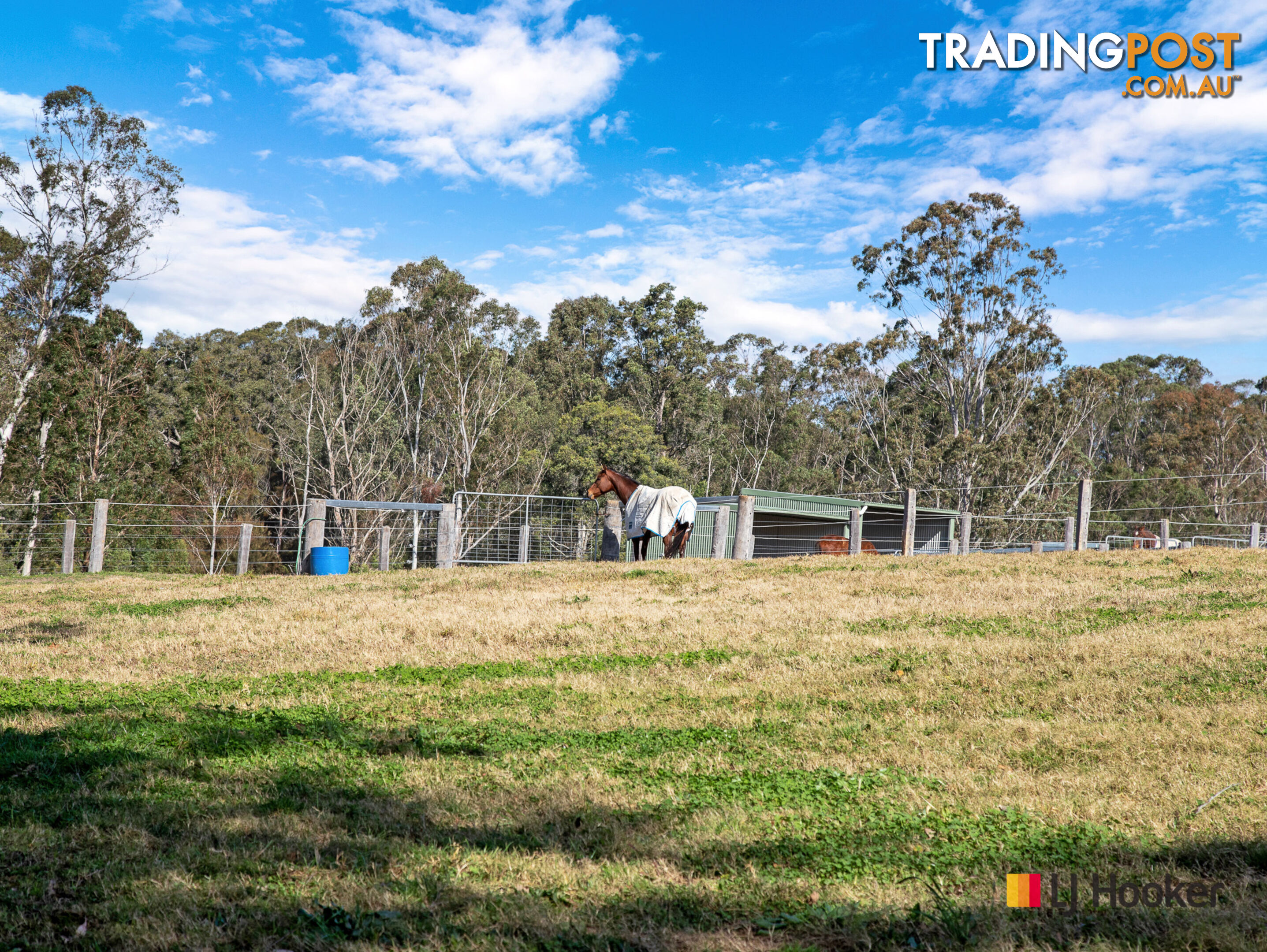 470 Larrys Mountain Road MOGENDOURA NSW 2537