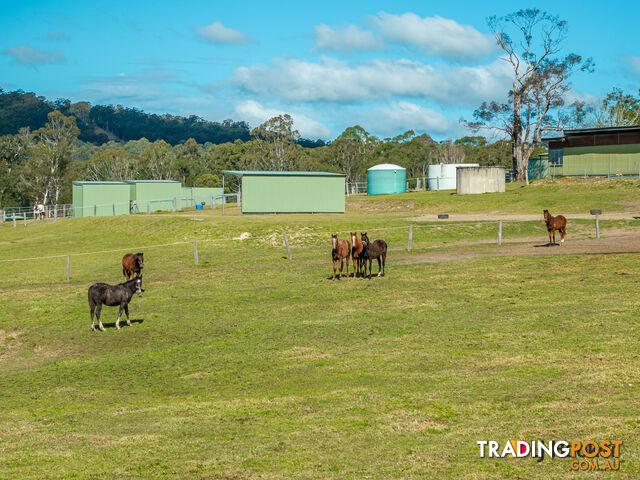 470 Larrys Mountain Road MOGENDOURA NSW 2537