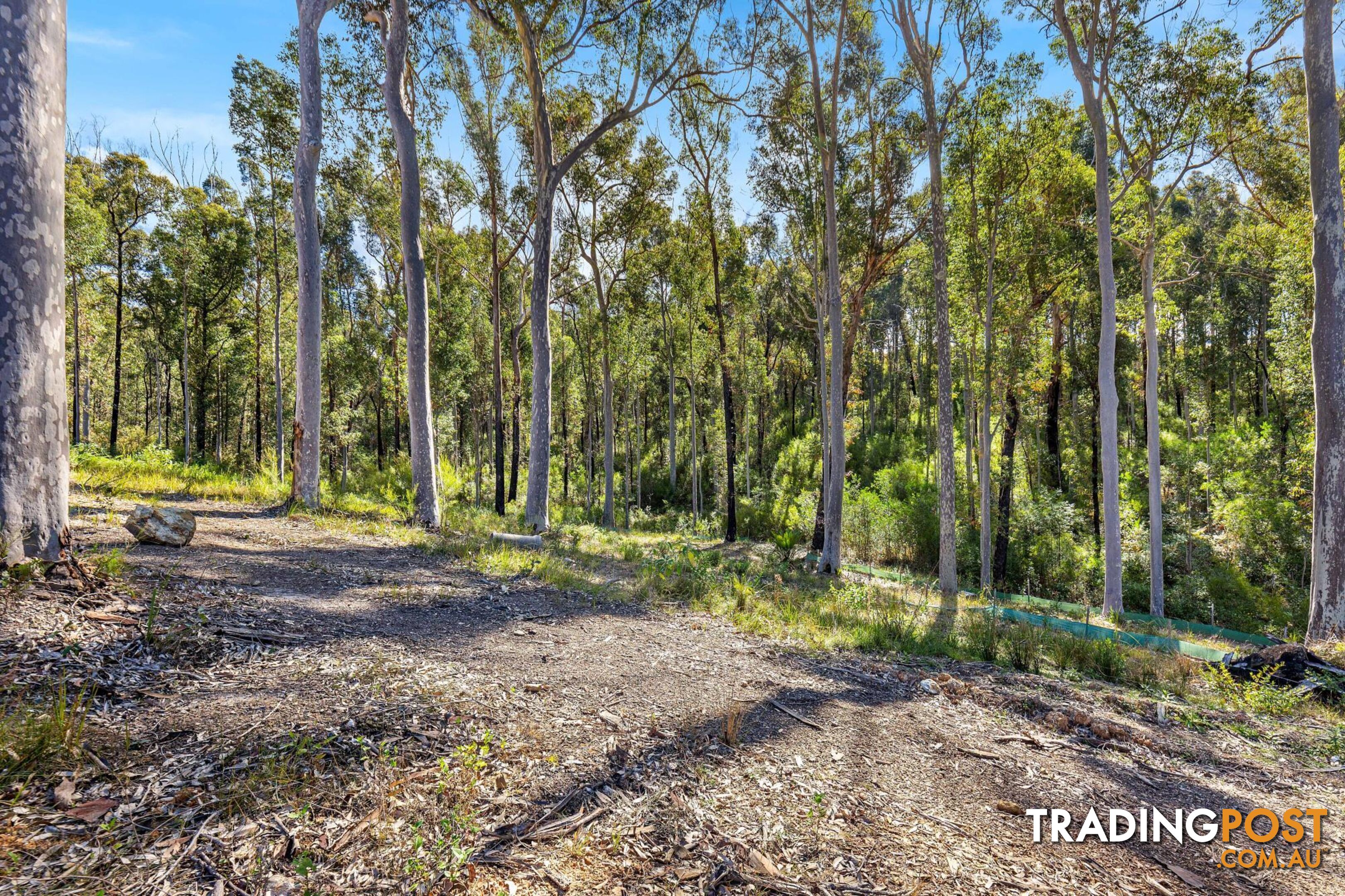 Lot 51 Banksia Grove MALUA BAY NSW 2536