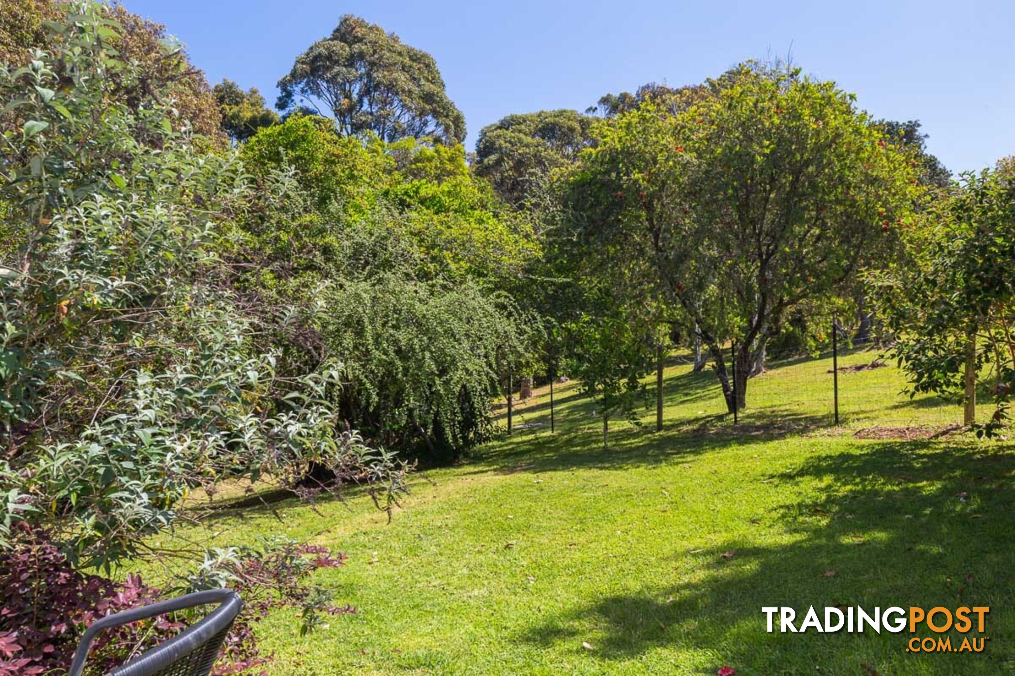 104 Tallawang Ave MALUA BAY NSW 2536