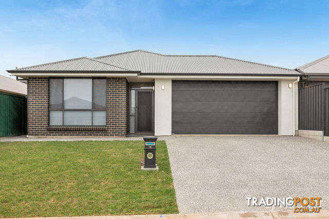 14 Terry Street BLAKEVIEW SA 5114