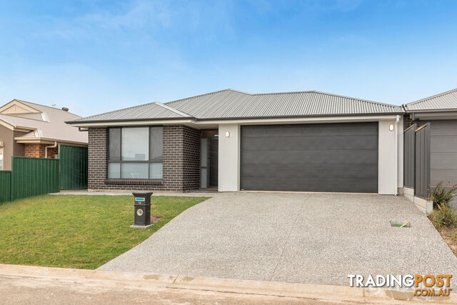 14 Terry Street BLAKEVIEW SA 5114