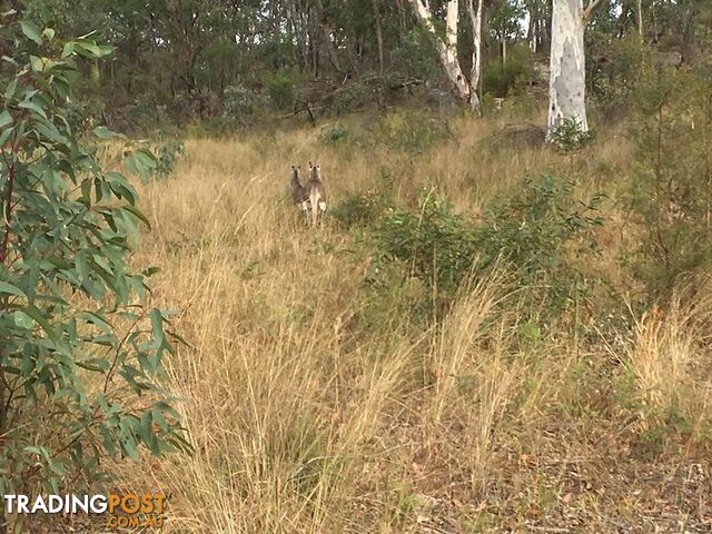 L6/17/27 Putty Road PUTTY NSW 2330