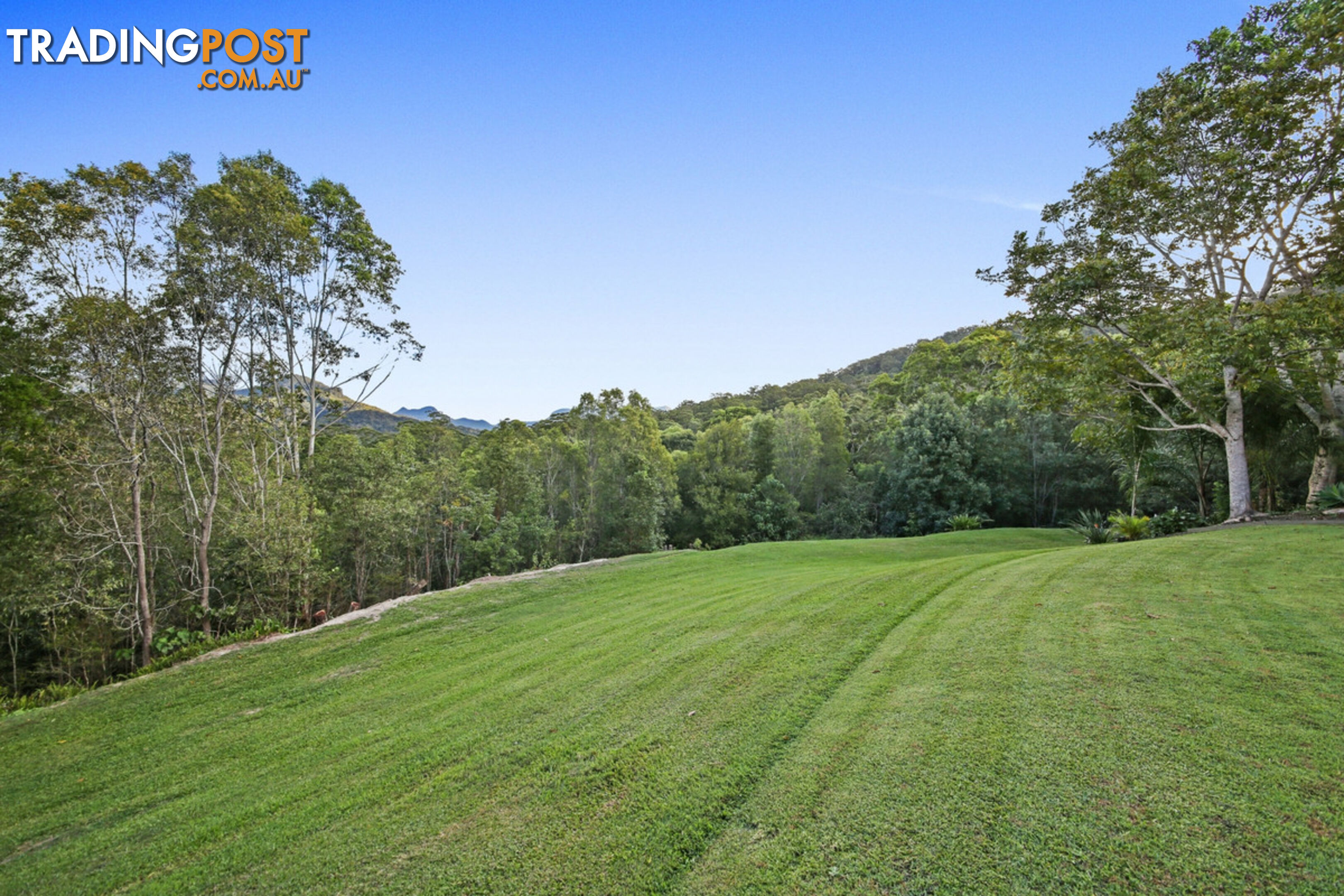 11 Thomas Waters Road TALLEBUDGERA VALLEY QLD 4228