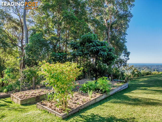 756 Trees Road TALLEBUDGERA VALLEY QLD 4228