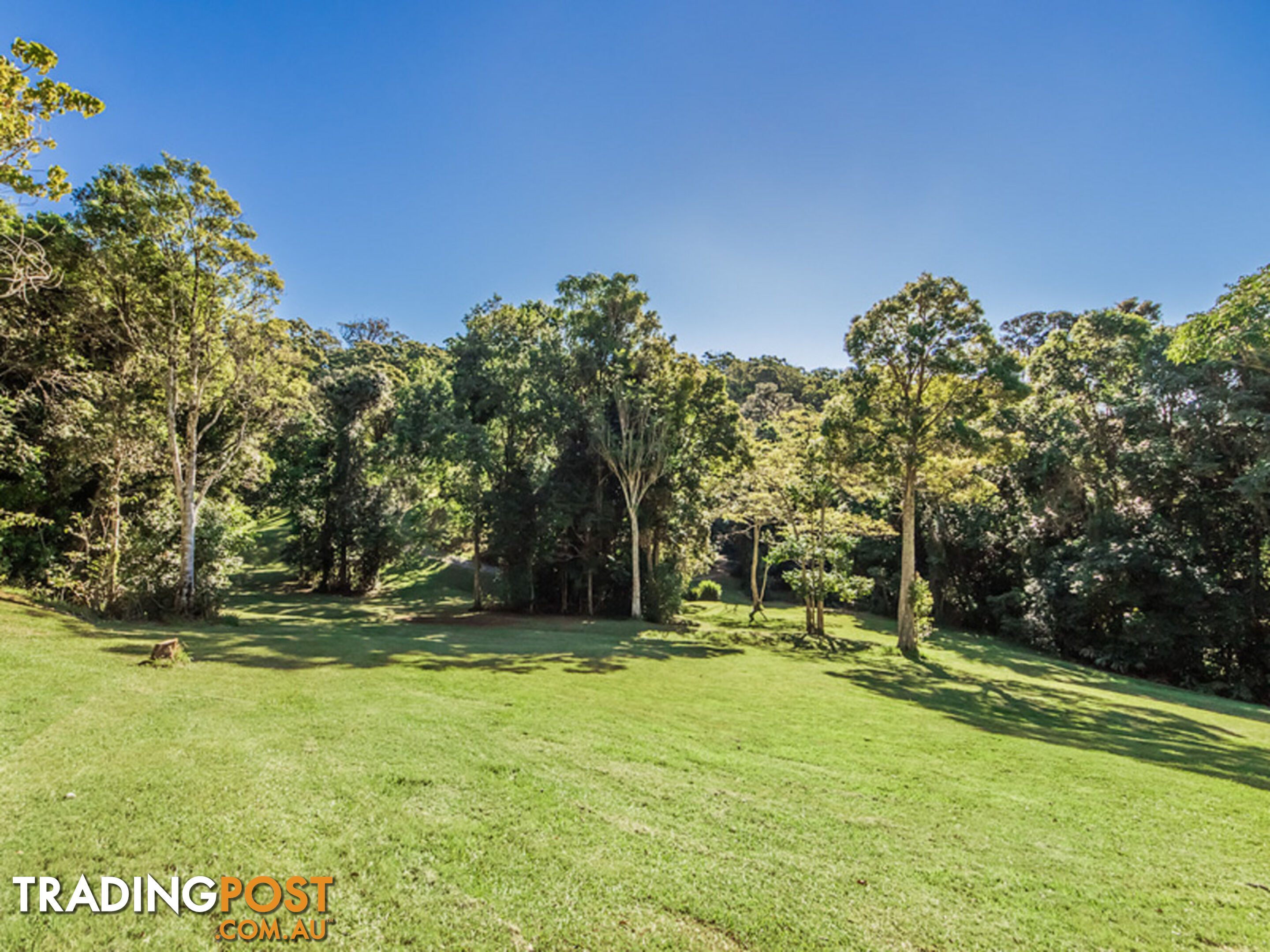 756 Trees Road TALLEBUDGERA VALLEY QLD 4228