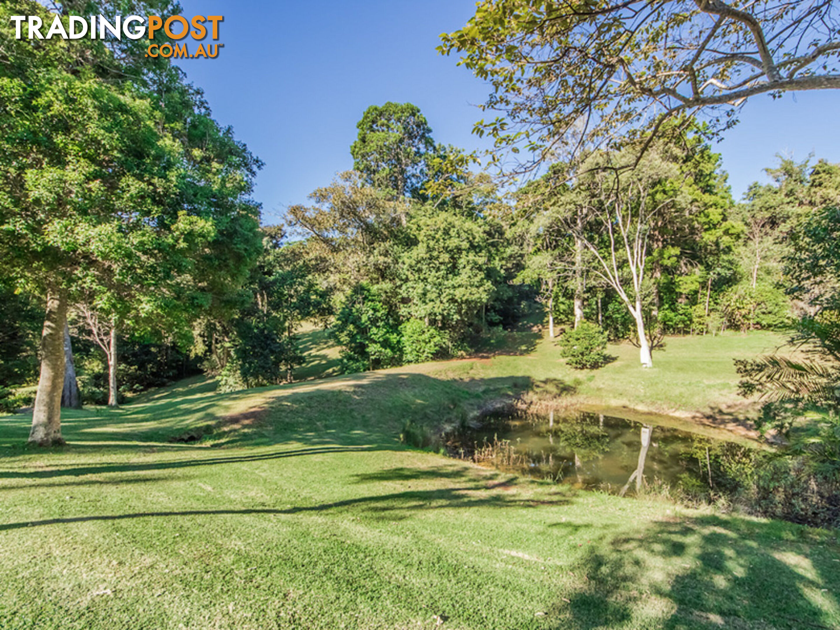 756 Trees Road TALLEBUDGERA VALLEY QLD 4228