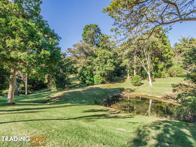 756 Trees Road TALLEBUDGERA VALLEY QLD 4228