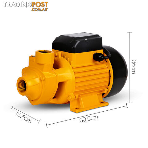 Electric Clean Water Pump 3300L/Hour 1/HP