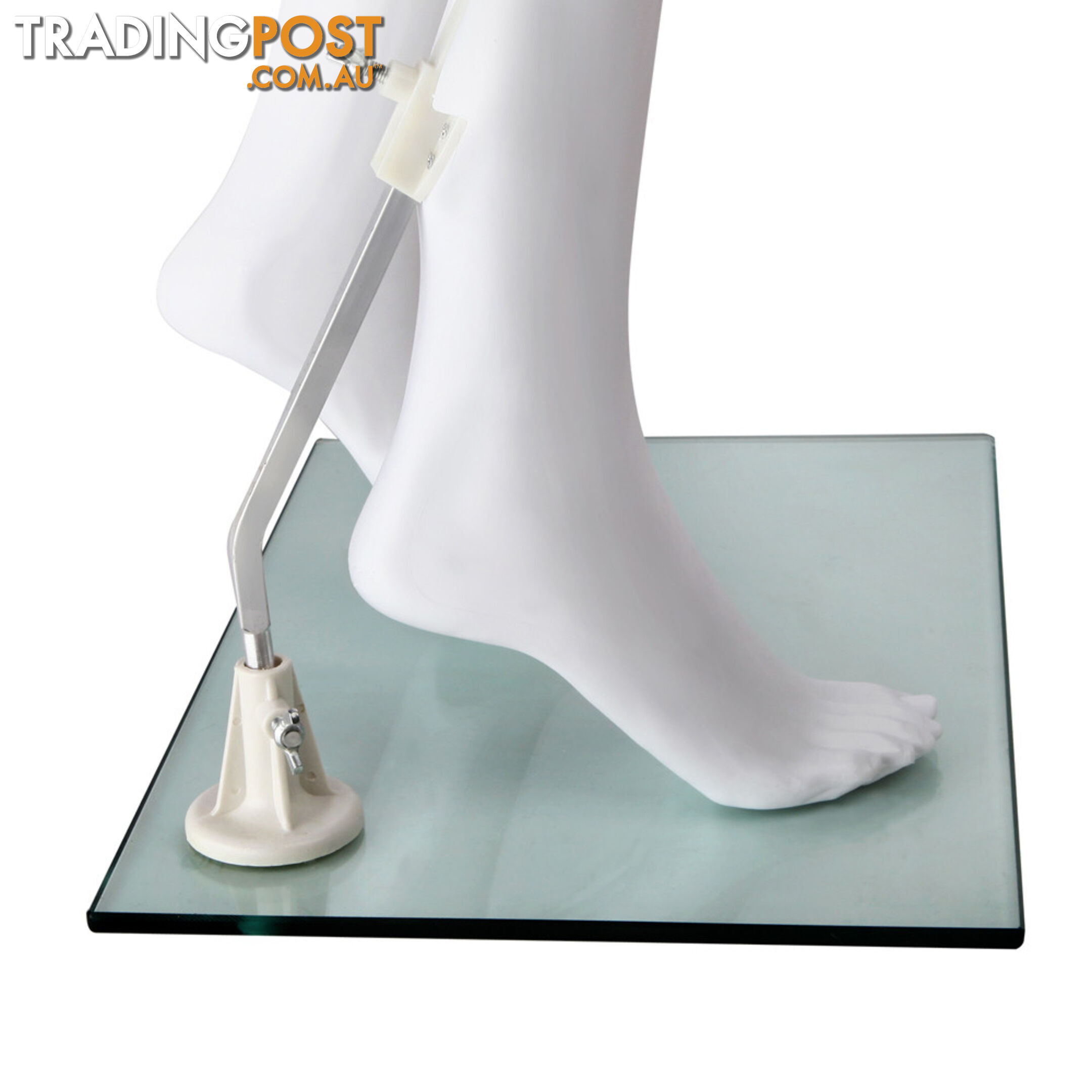 Full Body Female Mannequin Cloth Display Tailor Dressmaker Egg Head White 175cm