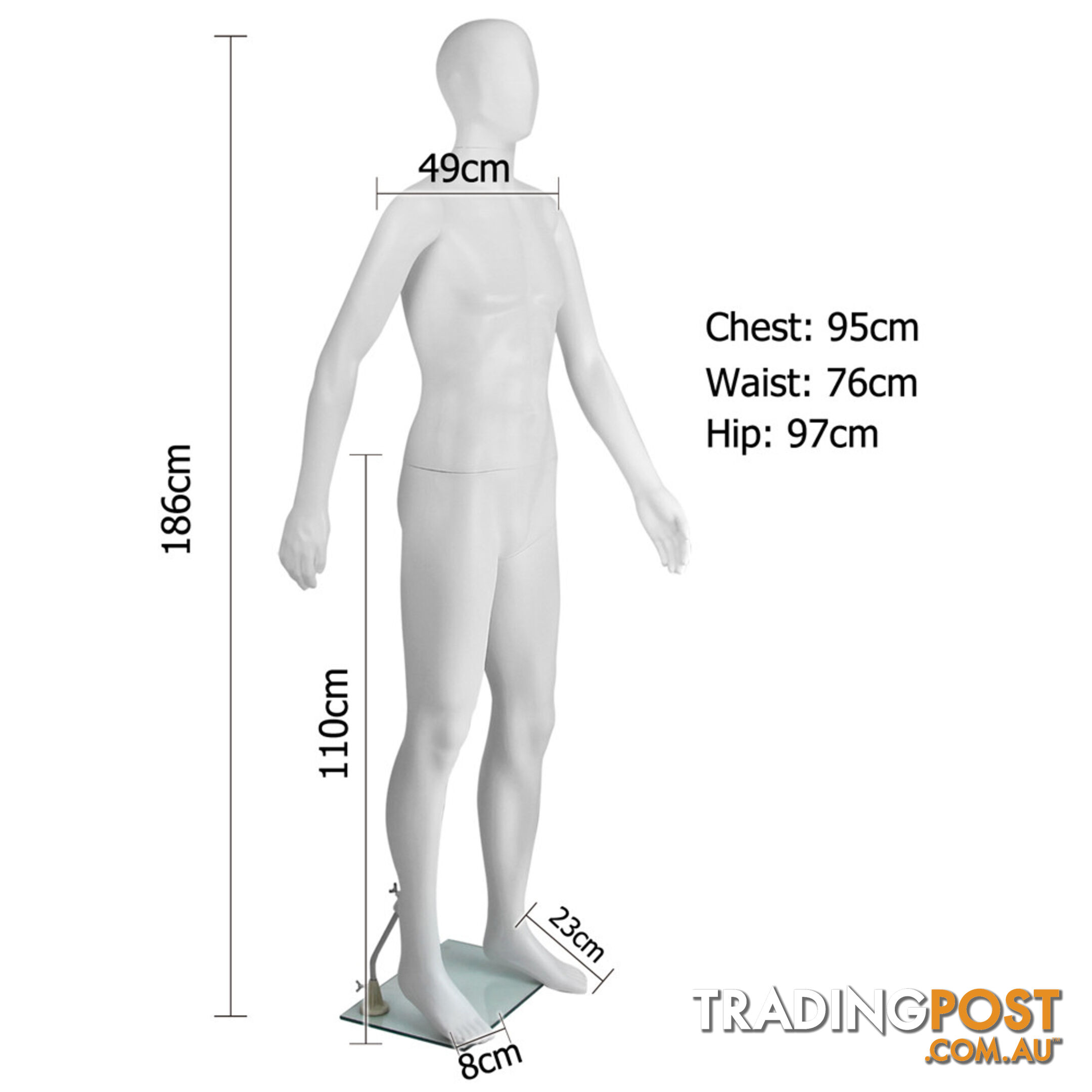 Full Body Male Mannequin Cloth Display Tailor Dressmaker White 186cm