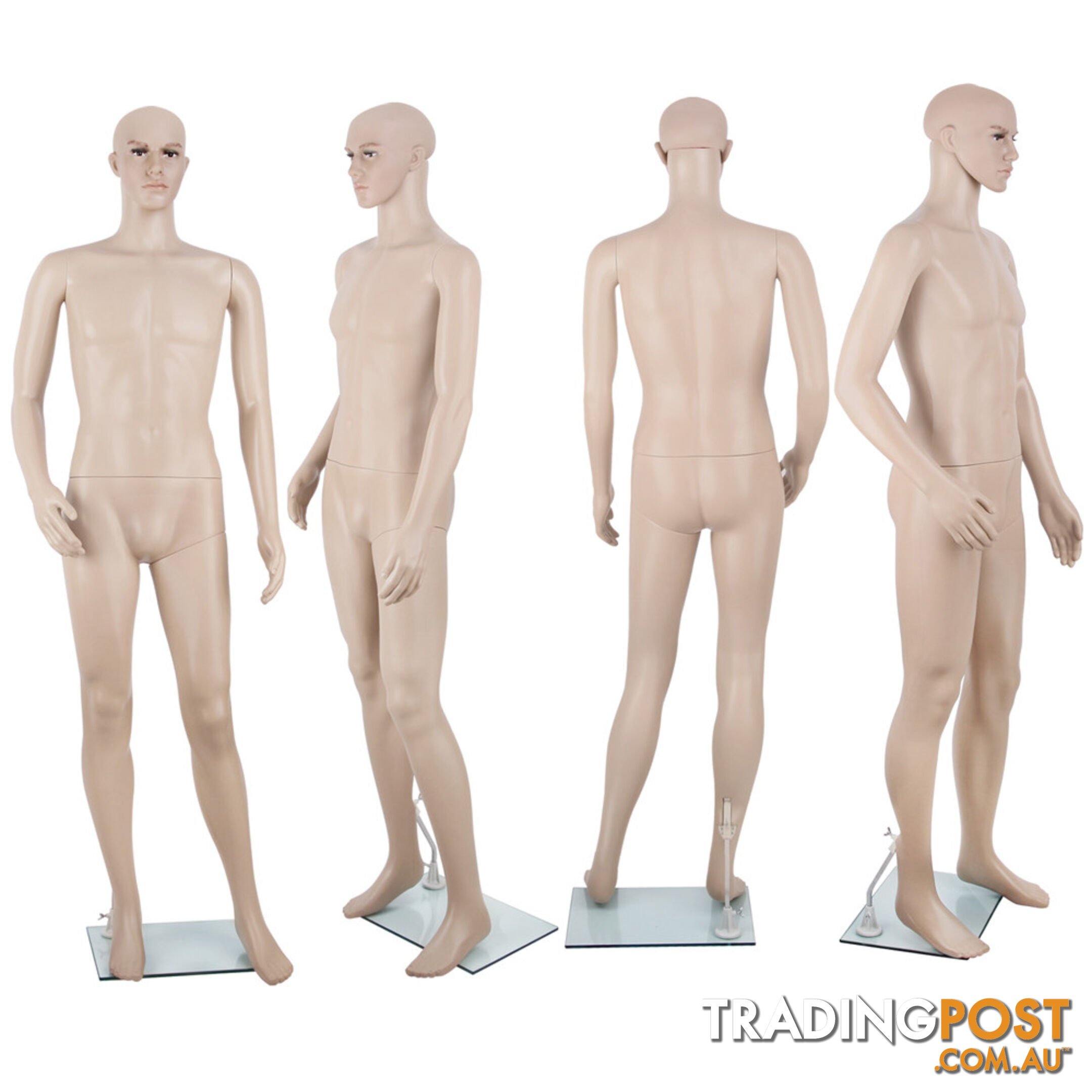 Full Body Male Mannequin Cloth Display Tailor Dressmaker Skin Tone 186cm