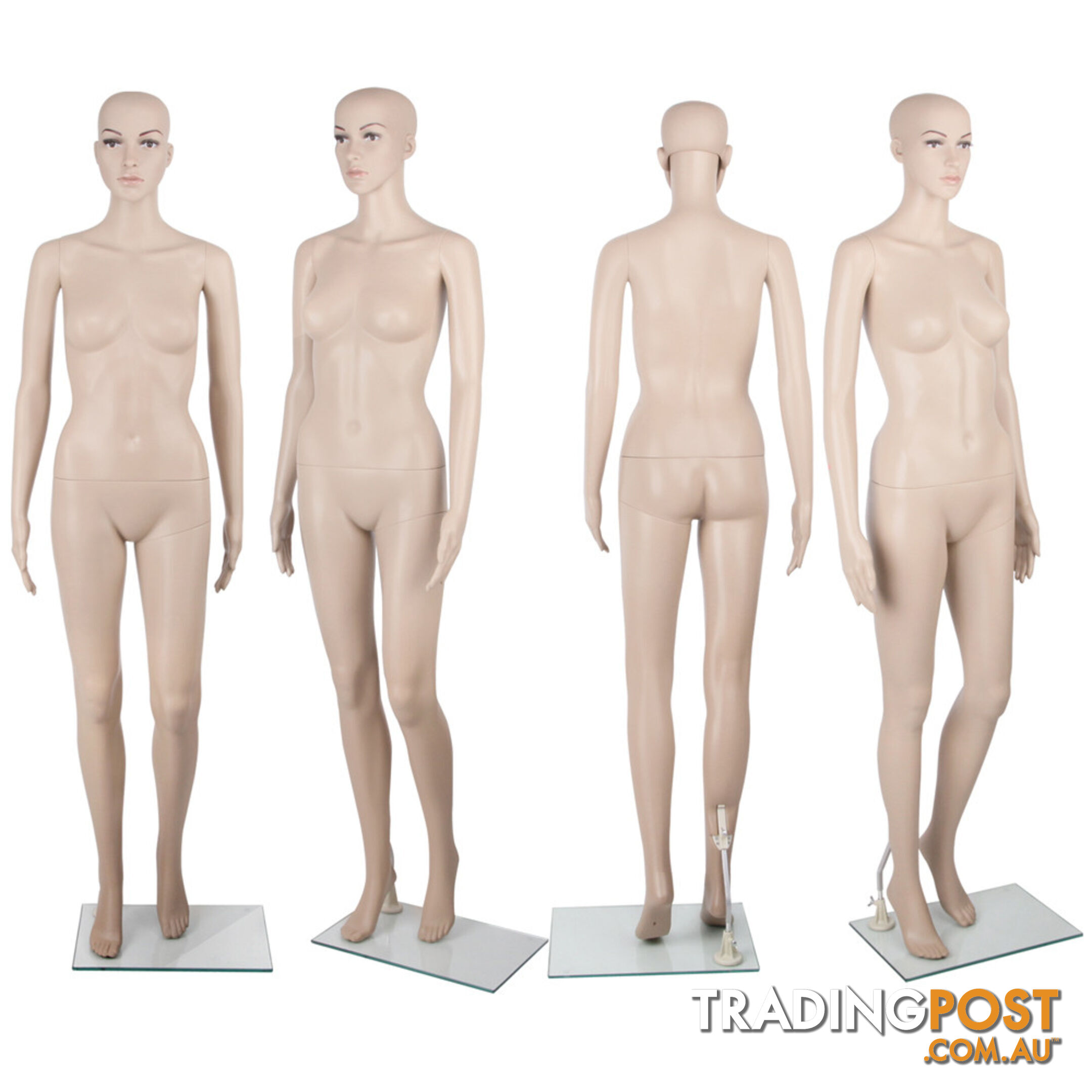 Full Body Female Mannequin Cloth Display Tailor Dressmaker Skin Tone 175cm
