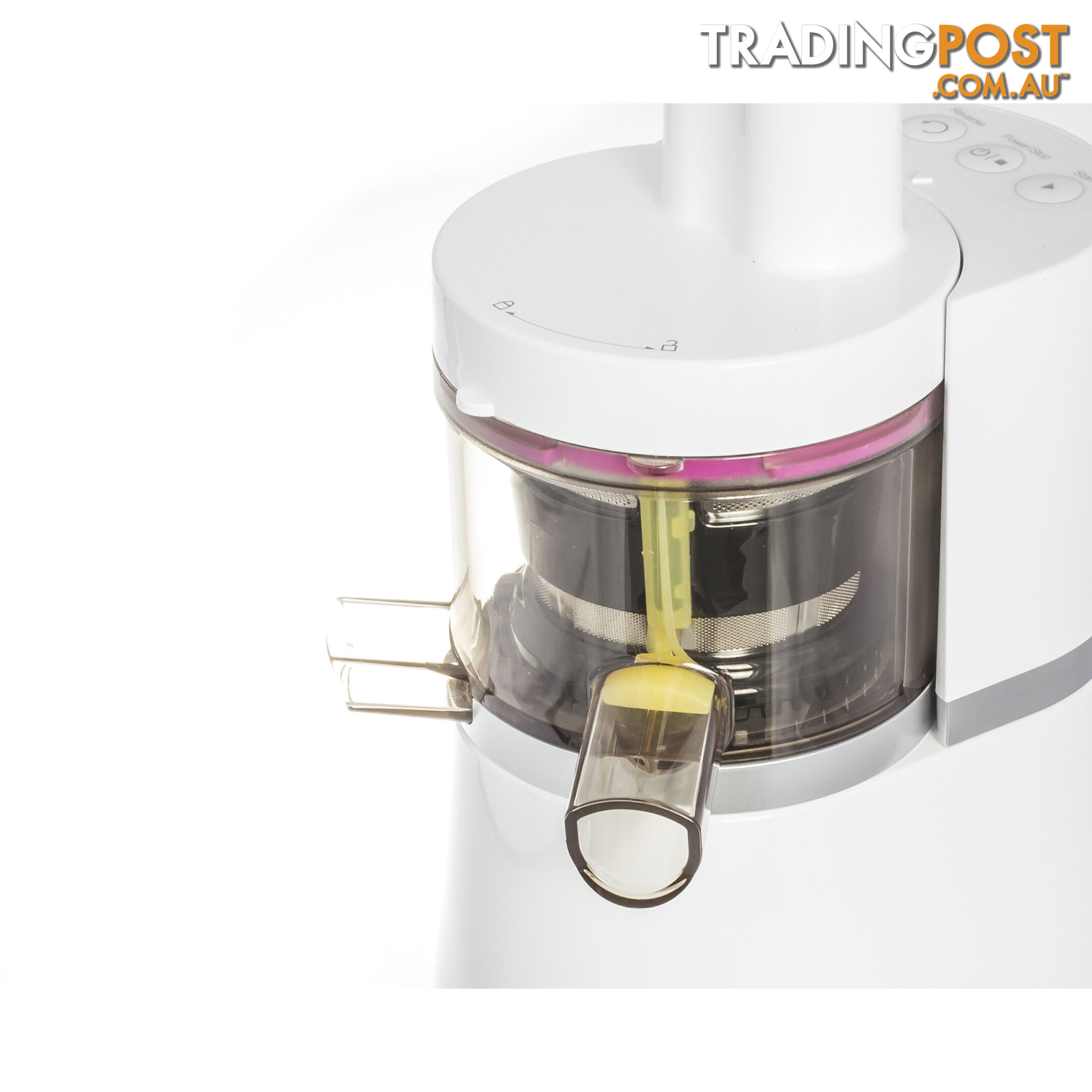 Lifespring Slow Juicer